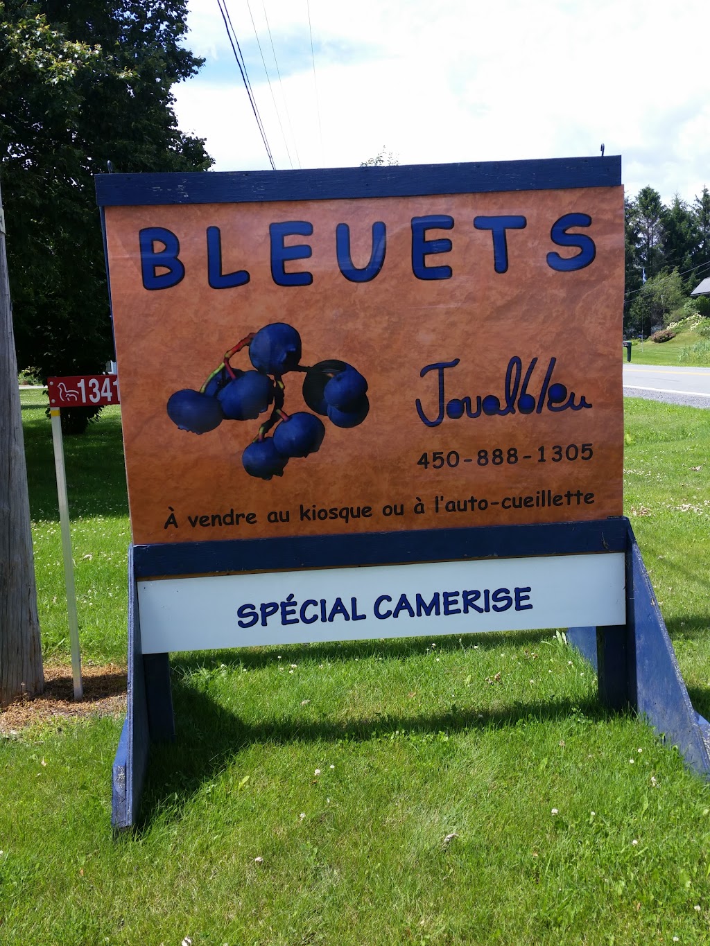 La bleuetière Joualbleu | 1341 Rte de Michaudville, Saint-Jude, QC J0H 1P0, Canada | Phone: (450) 888-1341