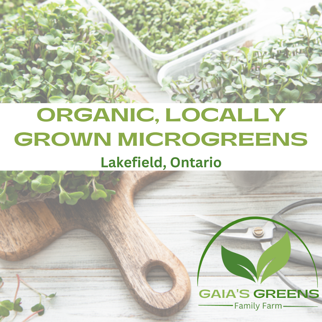 Gaias Greens Family Farm | 1880 12th Line Smith, Lakefield, ON K0L 2H0, Canada | Phone: (705) 999-4430