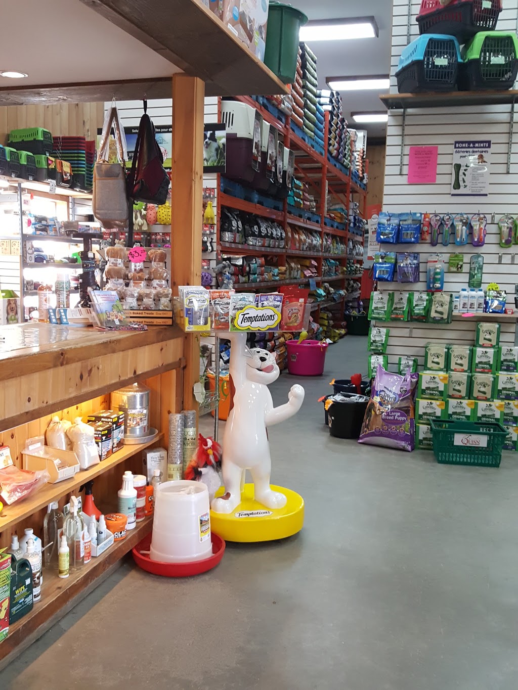 Animalerie Animaux Domestiques Quinn | 60 Chemin Roy, Magog, QC J1X 0N4, Canada | Phone: (819) 843-9601