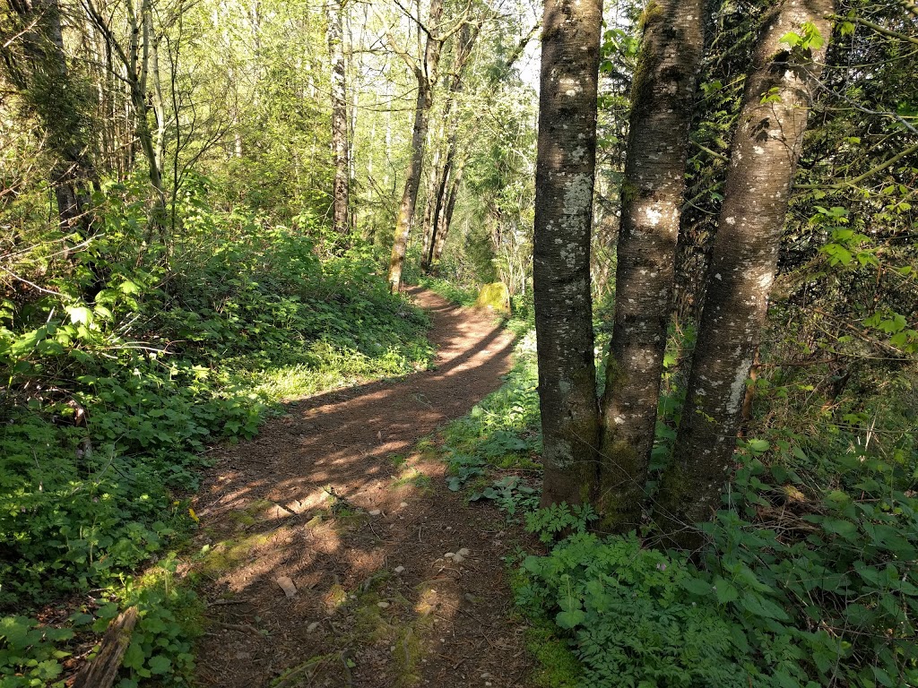 Maclure Park | Discovery Trail, Abbotsford, BC V2T, Canada