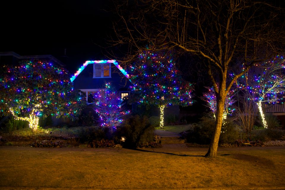 FestiLight Victoria - Christmas Light Installation | 426 William St, Victoria, BC V9A 3Y9, Canada | Phone: (855) 733-7845