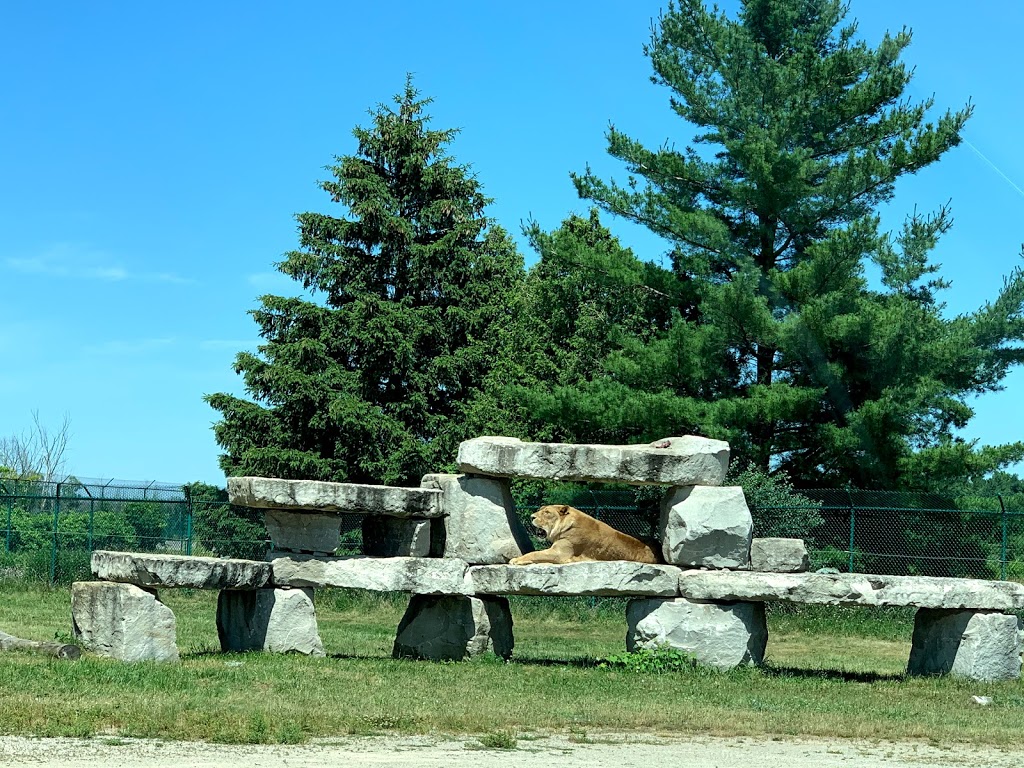 Cambridge New Hope Cemetery | Cooper Rd, Cambridge, ON N1R 5S2, Canada | Phone: (519) 658-4366