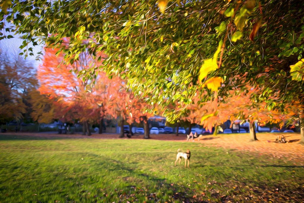 Trout Lake Beach | 2120 E 19th Ave, Vancouver, BC V5N 2J5, Canada | Phone: (604) 873-7000