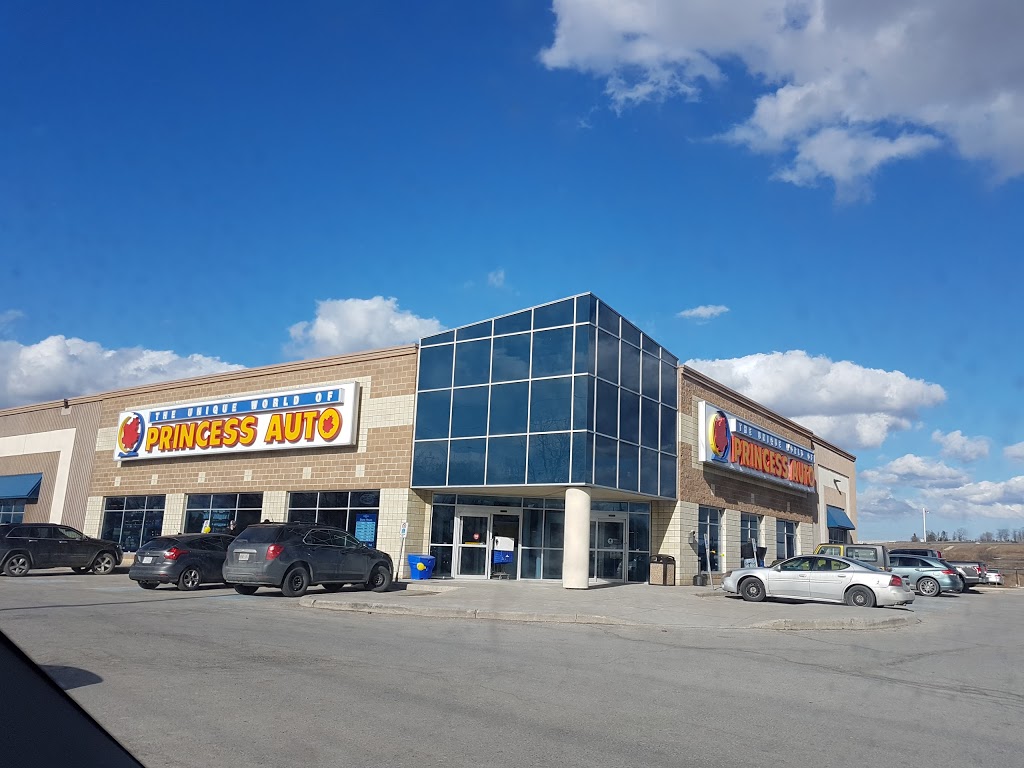 Princess Auto | 18195 Leslie St, East Gwillimbury, ON L9N 0M2, Canada | Phone: (905) 952-2107