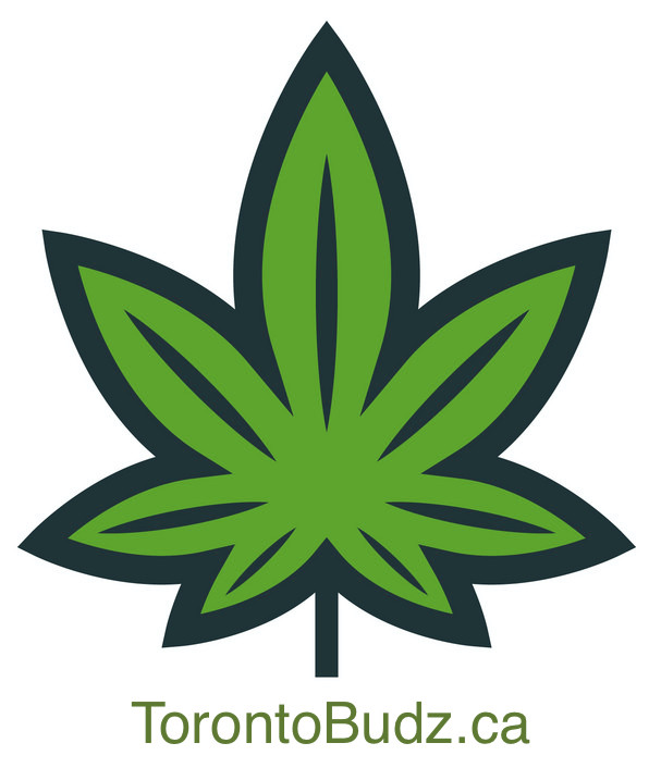 Toronto Budz - Same Day Cannabis Delivery Toronto | 2121 Lake Shore Blvd W, Etobicoke, ON M8V 4E9, Canada | Phone: (416) 833-5990