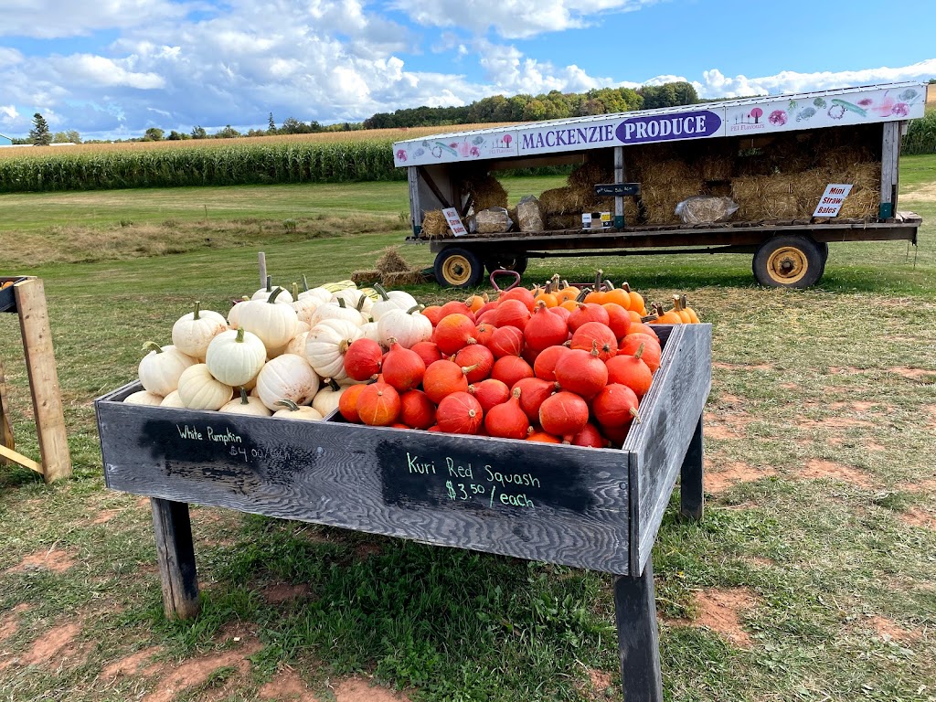 Mackenzie Produce, Inc. | 10971 Trans-Canada Hwy, Stratford, PE C1B 2R7, Canada | Phone: (902) 916-8577