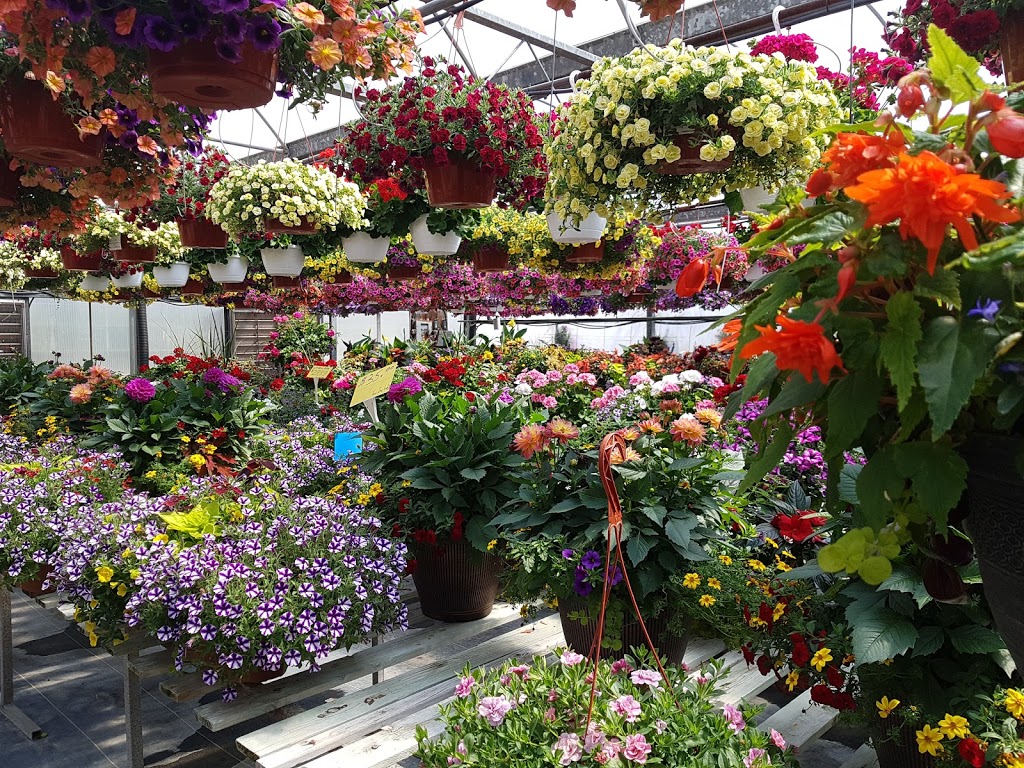 Carls Plants & Produce | 373 Seacliff Dr W, Leamington, ON N8H 4C9, Canada | Phone: (519) 326-2817