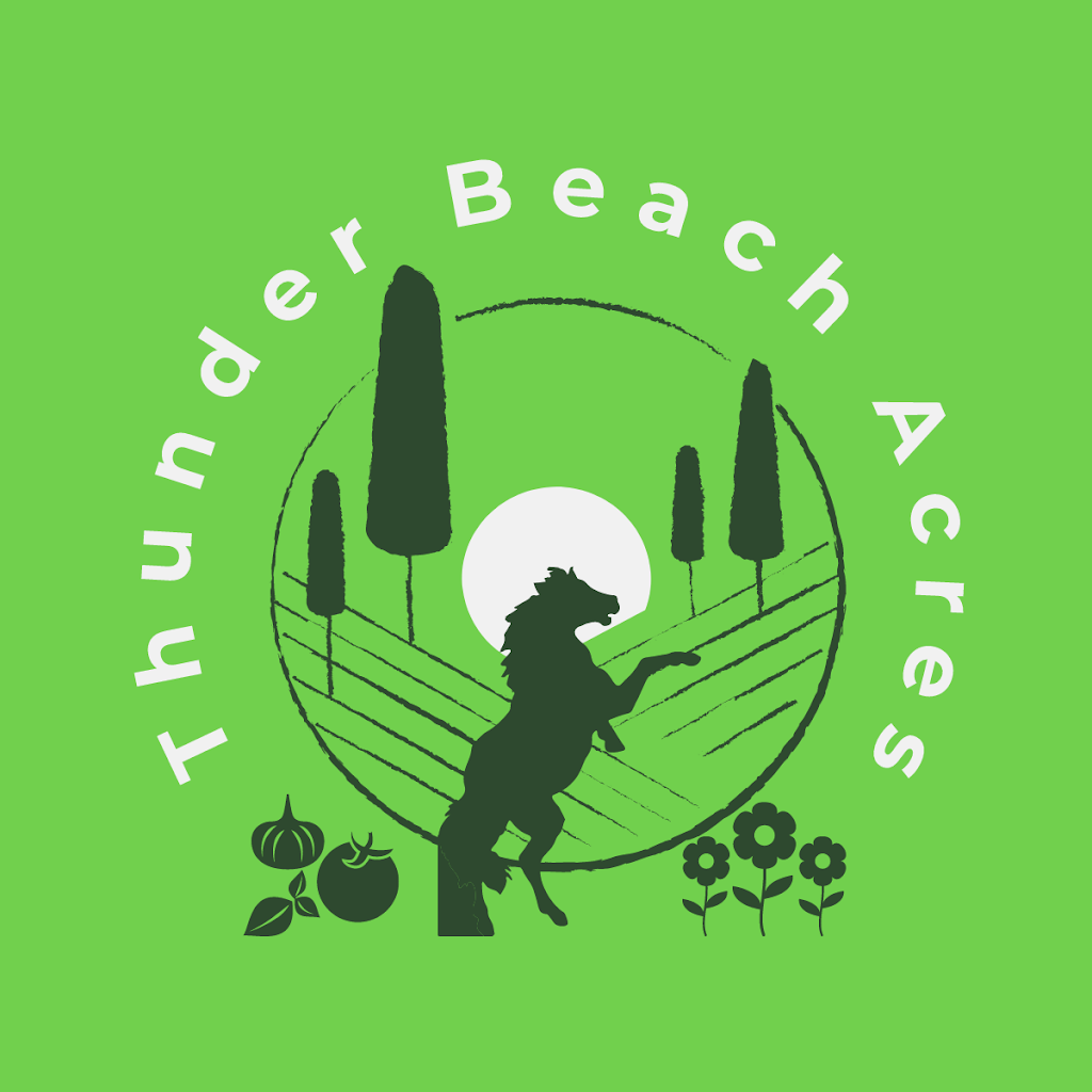 Thunder Beach Acres | 170 concession 17 W Corner of, Thunder Beach Rd, Tiny, ON L9M 0P7, Canada | Phone: (705) 529-6520