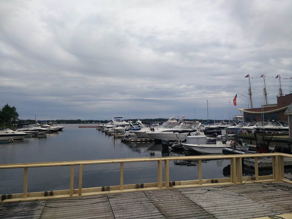 Adventures Marine zodiac Boat Tours | Dock A Charlottetown Yacht Club 2 Pr, Charlottetown, PE C1A 4J6, Canada | Phone: (902) 916-9940