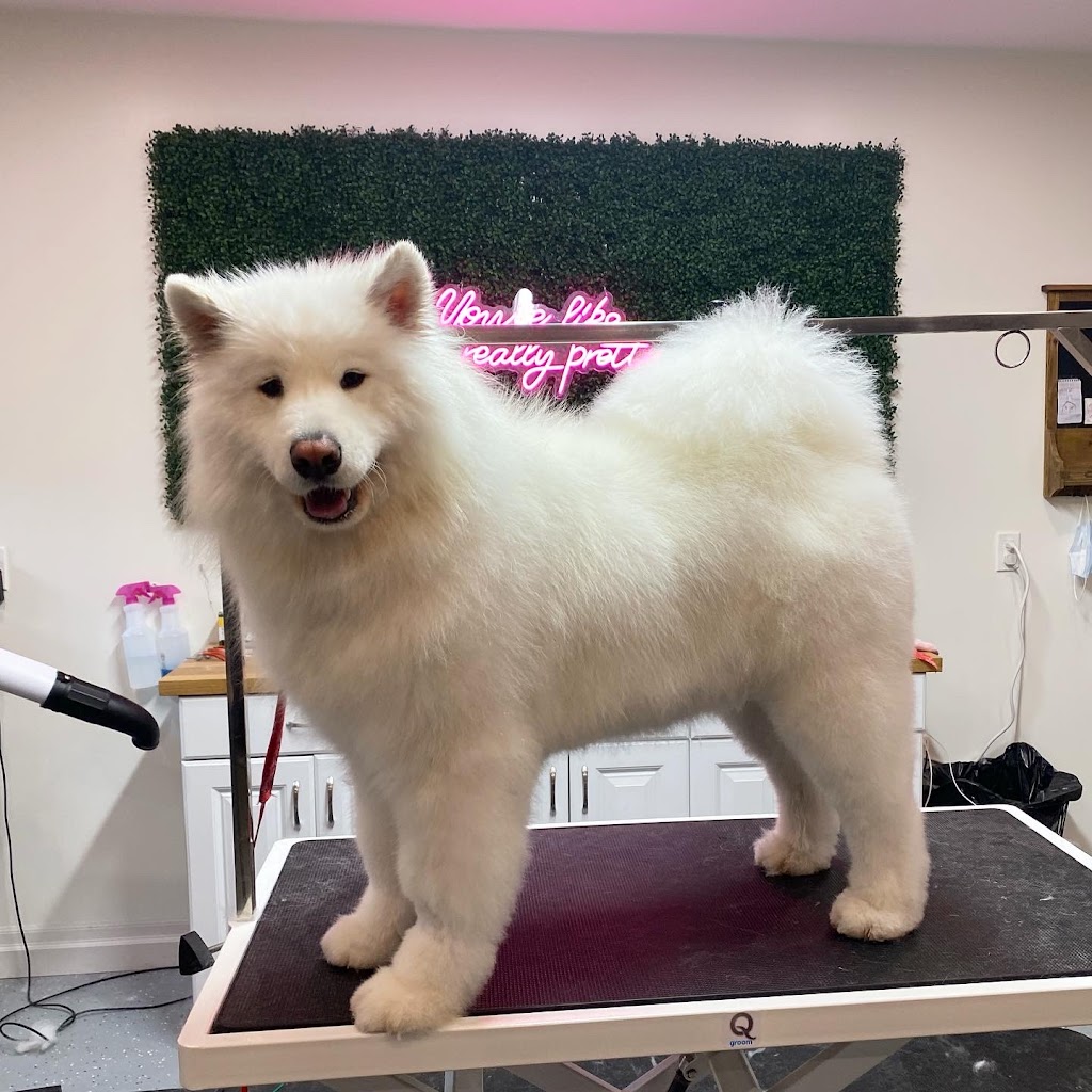 Pleasant Valley Groomers | 69 Terrace Dr, Hamilton, ON L9H 3X1, Canada | Phone: (905) 536-9889