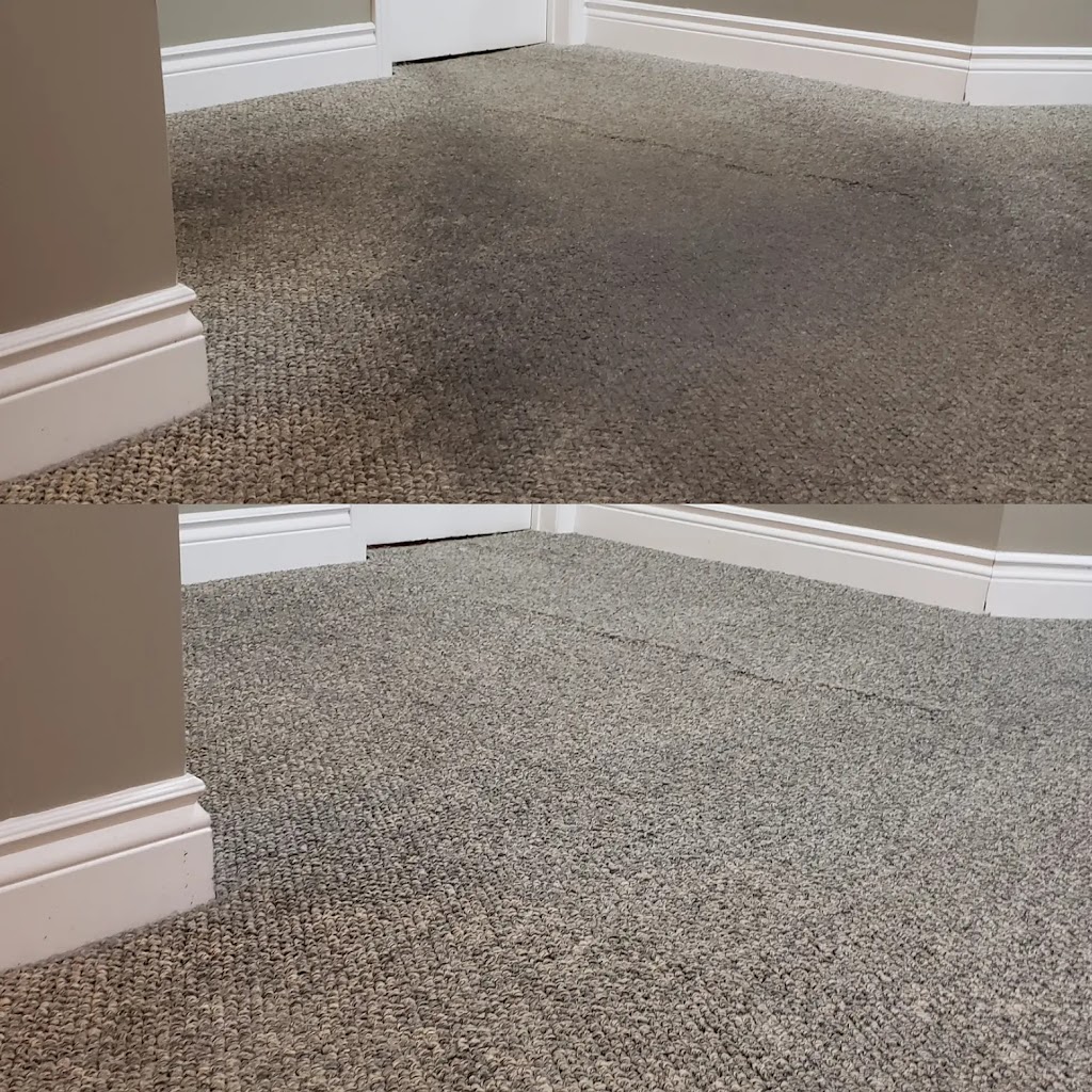 Keep It Clean Toronto Carpet and Upholstery Cleaning | 20 Strathgowan Ave, Toronto, ON M4N 1B9, Canada | Phone: (647) 885-1485