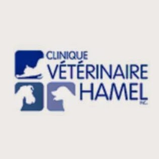 Clinique Vétérinaire Hamel | 6366 Boulevard Wilfrid-Hamel, LAncienne-Lorette, QC G2E 2H9, Canada | Phone: (418) 872-4942