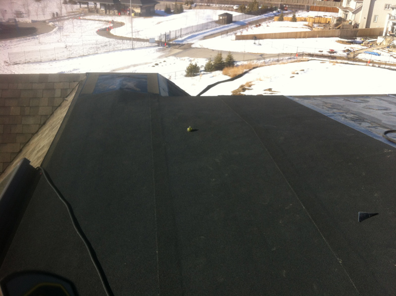 Flex Roofing Inc - Metal Roofing Calgary | 114 Brightonwoods Green SE, Calgary, AB T2Z 0T4, Canada | Phone: (403) 464-5464