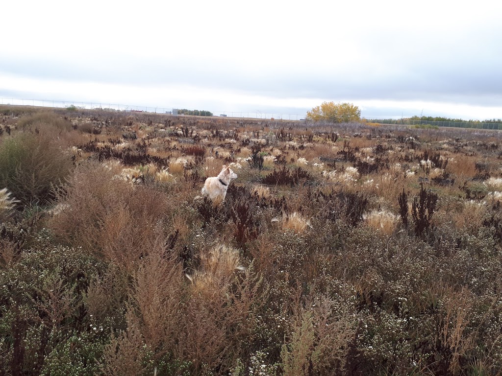 Off-Leash Recreation Area | North on dirt road, west of airport, Junor Ave, Saskatoon, SK S7R 0A7, Canada