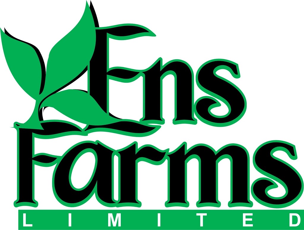 Ens Farms Ltd | 186 Reinland Ave, Reinland, MB R6W 4A1, Canada | Phone: (204) 325-4658