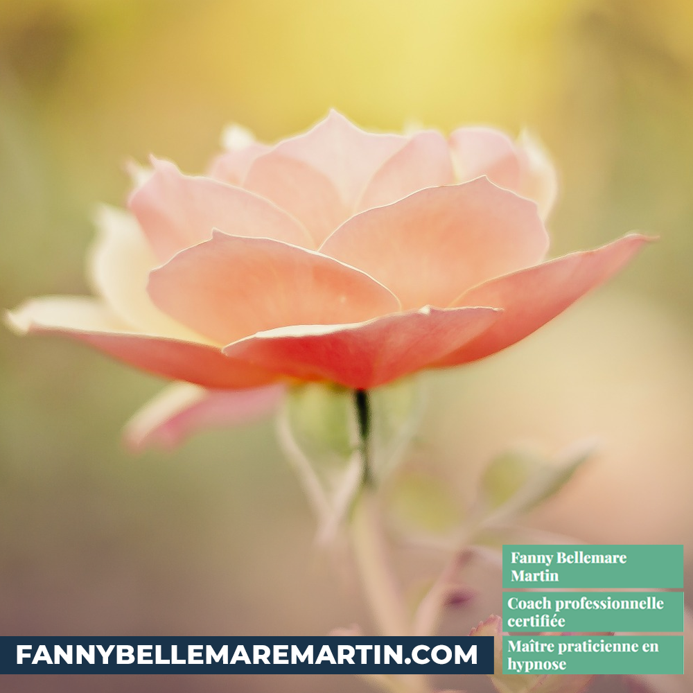 Fanny Bellemare-Martin | 3790 Rue de Chimay, Terrebonne, QC J6X 2K8, Canada | Phone: (514) 214-2599