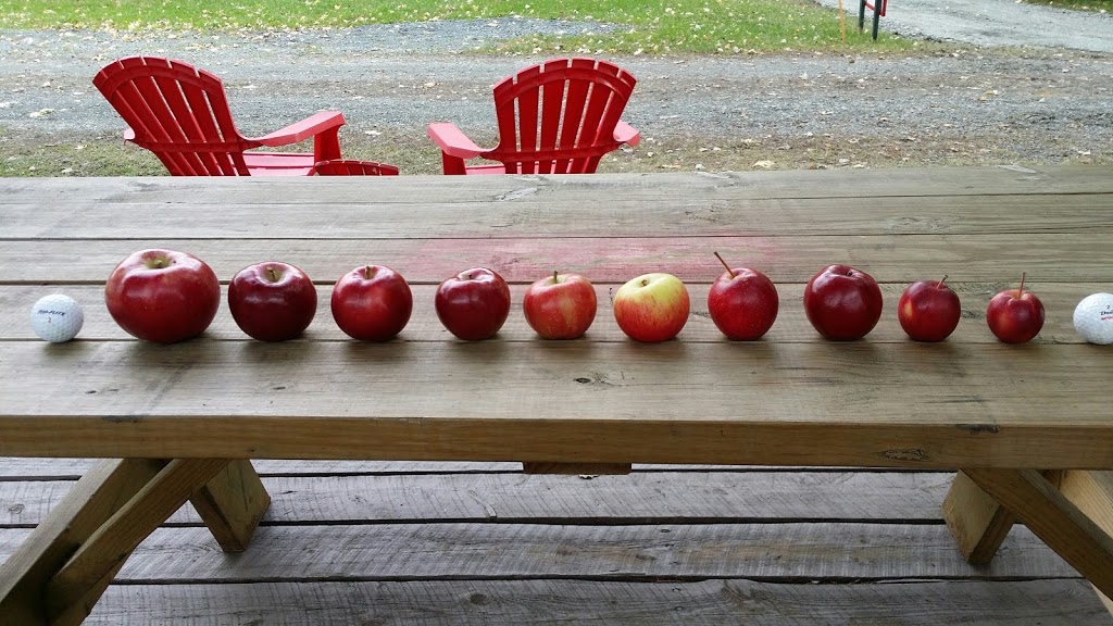 La Ferme des Trois-Ruisseaux | 4685 Boulevard du Parc-Industriel, Bécancour, QC G9H 3N3, Canada | Phone: (819) 297-2527