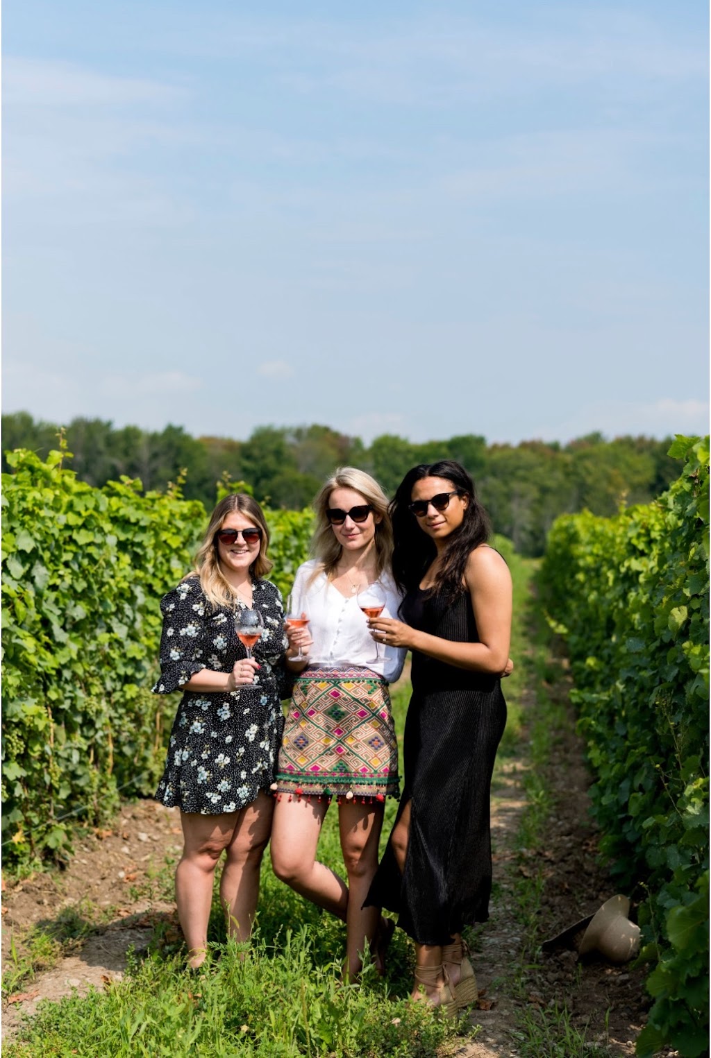 County Limo Wine Tours | 93 Consecon St, Wellington, ON K0K 3L0, Canada | Phone: (613) 707-5700