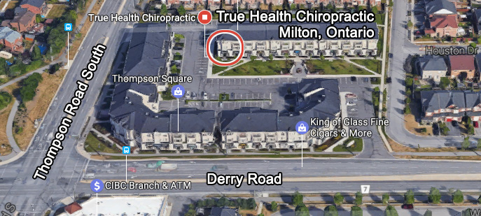 Dr. Anna Neff - True Health Chiropractic | 9101 Derry Rd, Milton, ON L9T 7Y9, Canada | Phone: (905) 876-0048