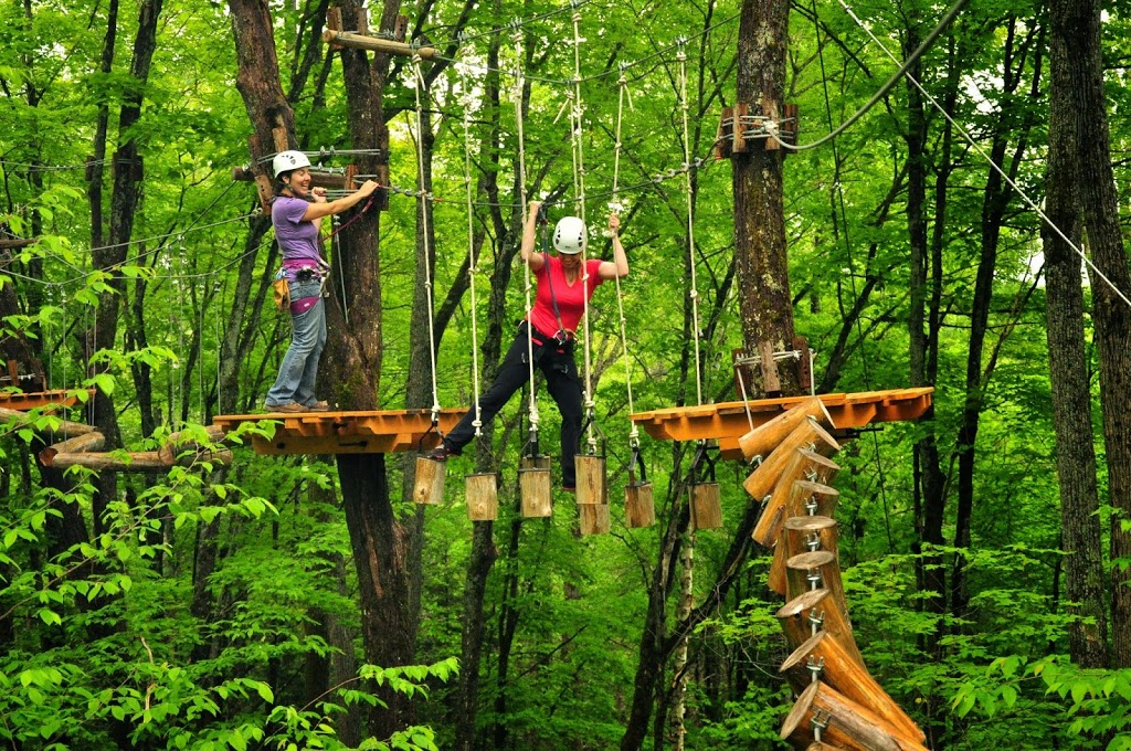 Treetop Trekking Huntsville | 1180 ON-60, Huntsville, ON P1H 1A9, Canada | Phone: (855) 788-9009