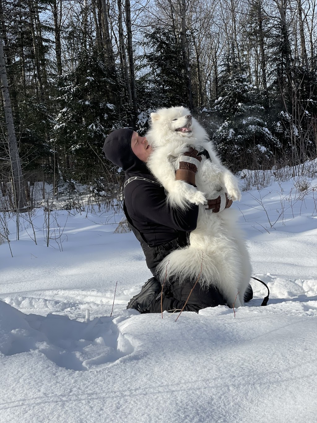 Coeur de loup | 555 Chem. des Peupliers, Stoneham-et-Tewkesbury, QC G3C 1Z2, Canada | Phone: (581) 992-1351