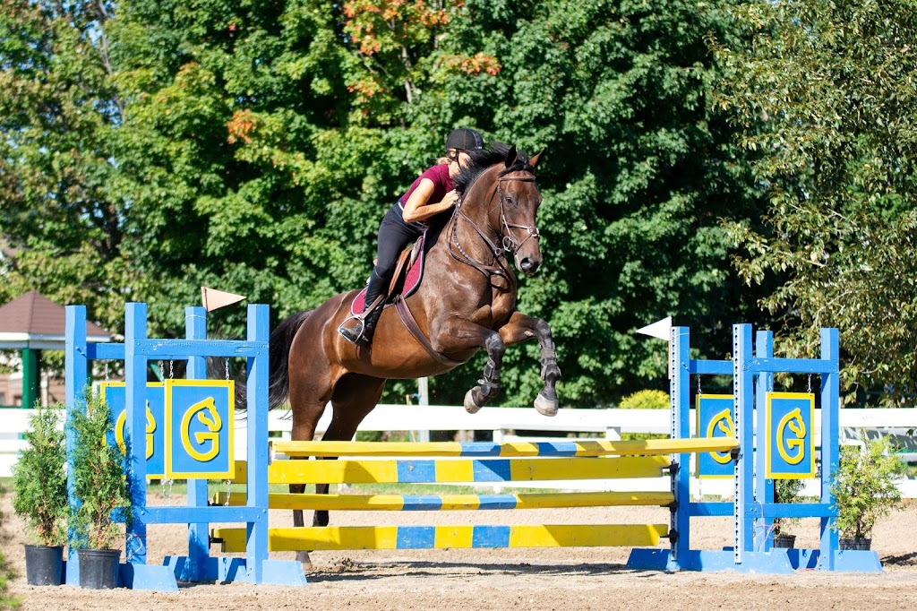 Equestrian Center Drummond S.e.n.c. | 1220, 3e rang-de-Wendover-Sud, Saint-Cyrille-de-Wendover, QC J1Z 1X2, Canada | Phone: (819) 477-0738