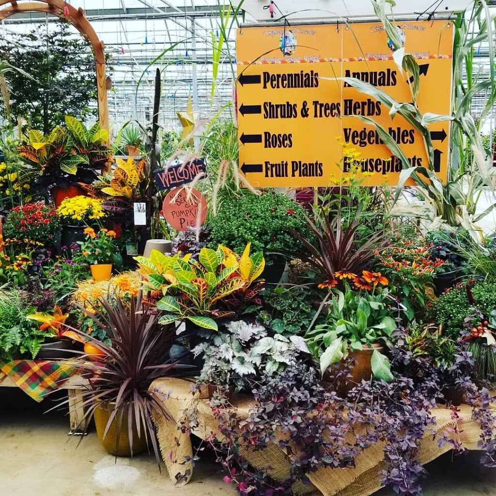 Sipkens Nurseries | 3261 London Line, Wyoming, ON N0N 1T0, Canada | Phone: (519) 542-8353