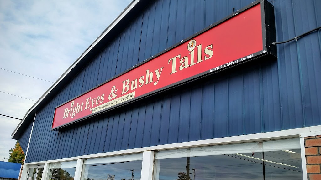 Bright Eyes & Bushy Tails | 1959 Petawawa Blvd, Pembroke, ON K8A 7H3, Canada | Phone: (613) 735-8268