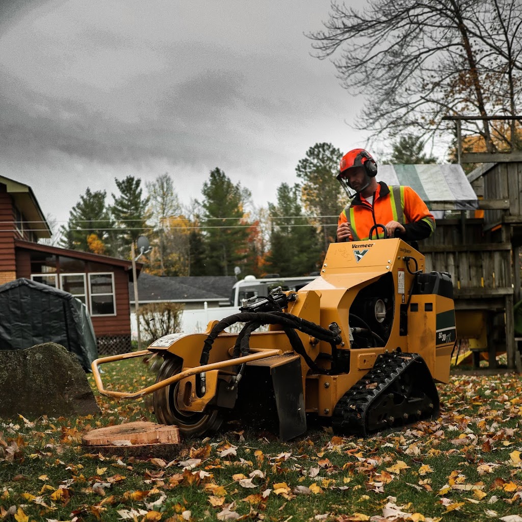 Deep River Tree Service | ON-17, Deep River, ON K0J 1P0, Canada | Phone: (613) 281-8081