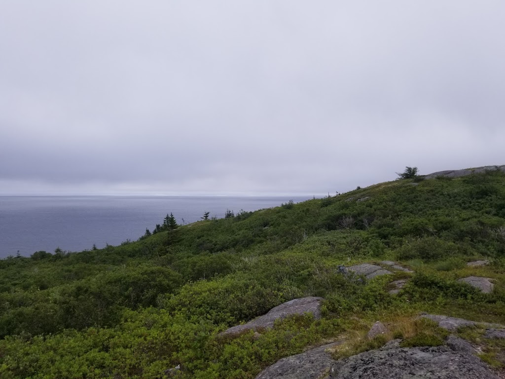 Ocean Lookout Point | Motion Bay Rd Ext, St. Johns, NL A1G 1T6, Canada