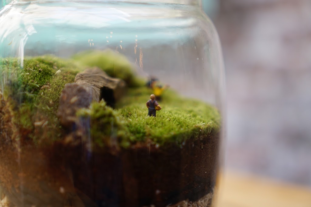 Terrarium House | 57 Lynwood Rd, Hamilton, ON L9C 6M7, Canada