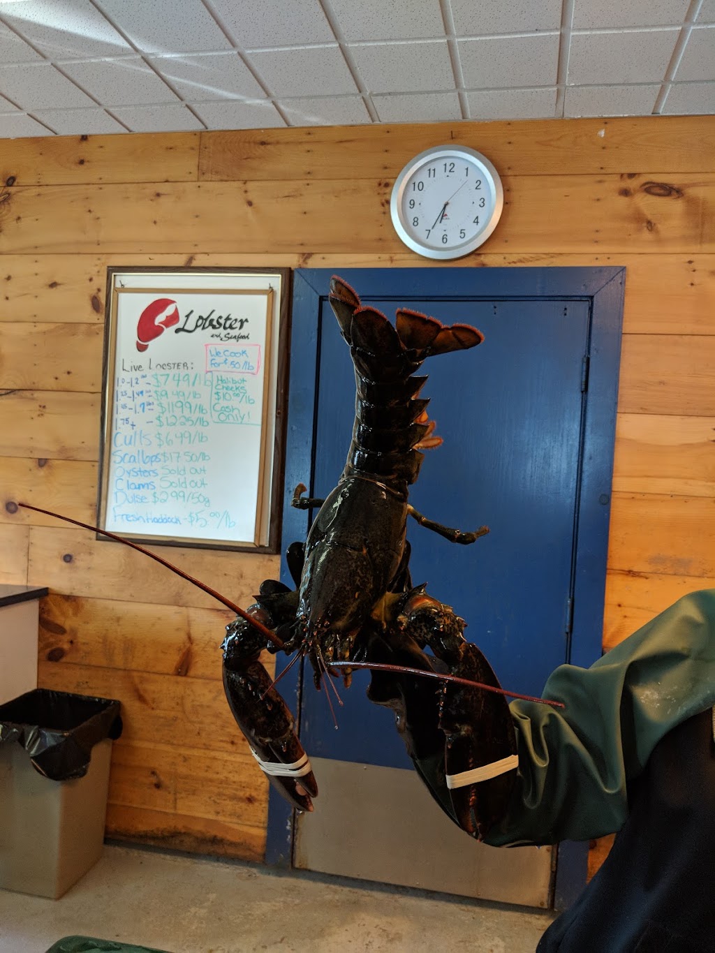 The Lobster Dive Inc | 105 Government Wharf Rd, Eastern Passage, NS B3G 1M5, Canada | Phone: (902) 463-6066