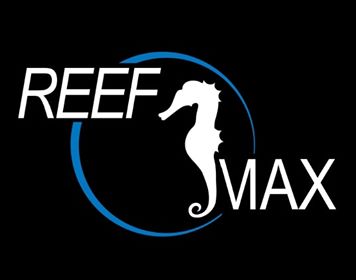 Aquarium Récifal Reef O Max | 1132A Rue Notre-Dame, Lavaltrie, QC J5T 1M2, Canada | Phone: (514) 400-1577