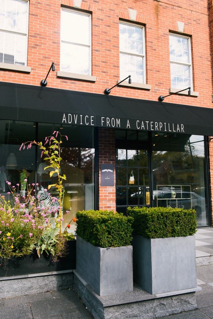 Advice From A Caterpillar | 8 Price St, Toronto, ON M4W 1Z4, Canada | Phone: (416) 960-2223