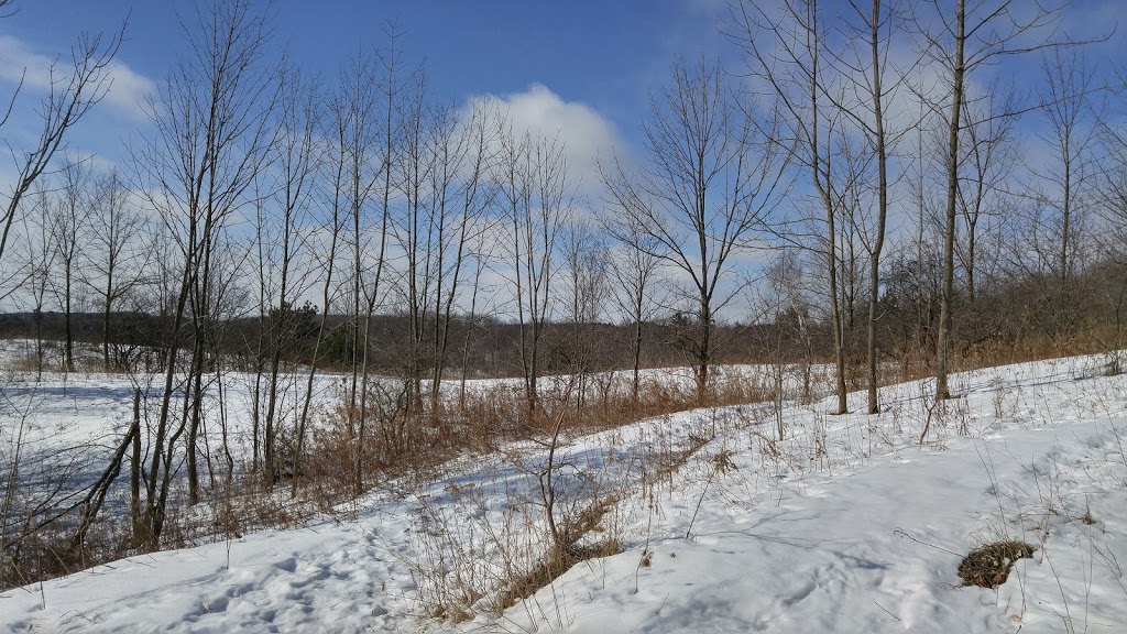 Glen Major Forest | Uxbridge, ON L0C, Canada