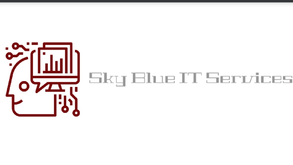 Sky Blue IT Services | 8611 Weston Rd Unit 16, Woodbridge, ON L6L 9P1, Canada | Phone: (647) 557-0159