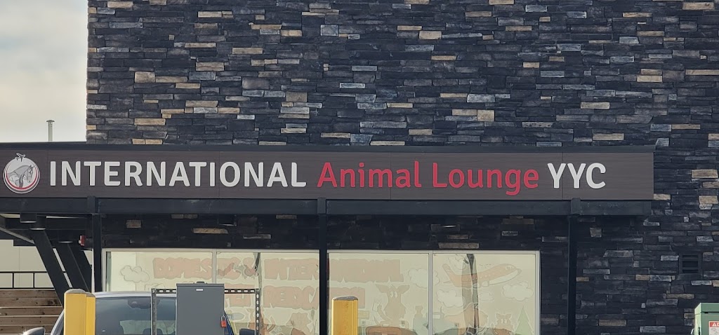 International Animal Lounge YYC | 119 Aero Way NE, Calgary, AB T2E 6K2, Canada | Phone: (587) 296-4706