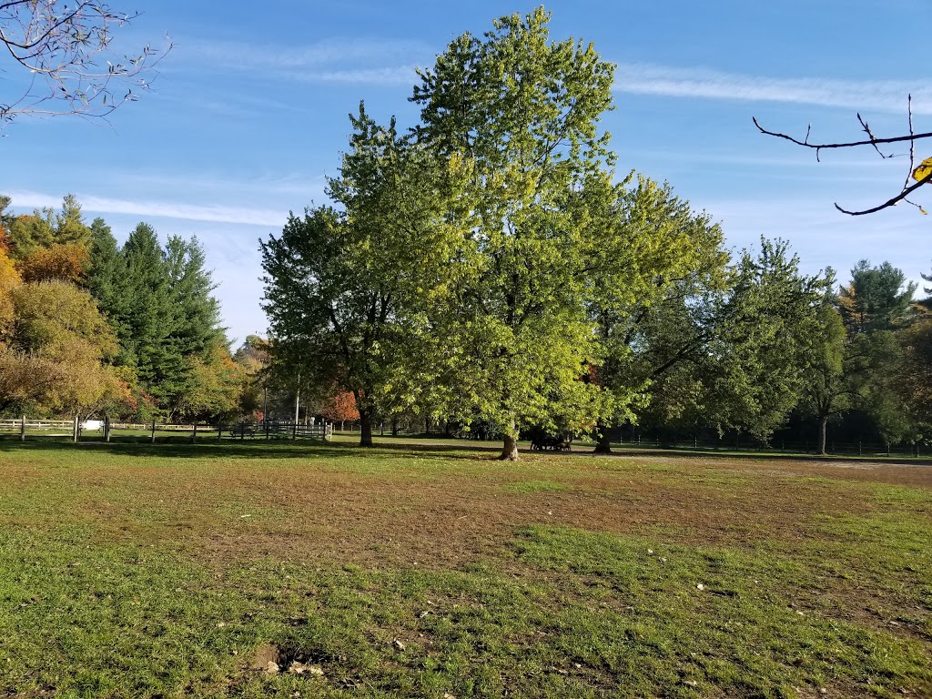 Sunnybrook Dog Park | North York, Toronto, ON M4N, Canada