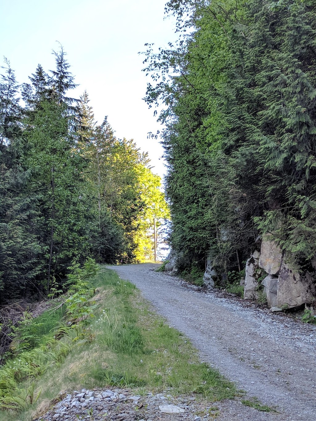 Campbell Lake Trail Head | 606 Hot Springs Rd, Agassiz, BC V0M 1A3, Canada