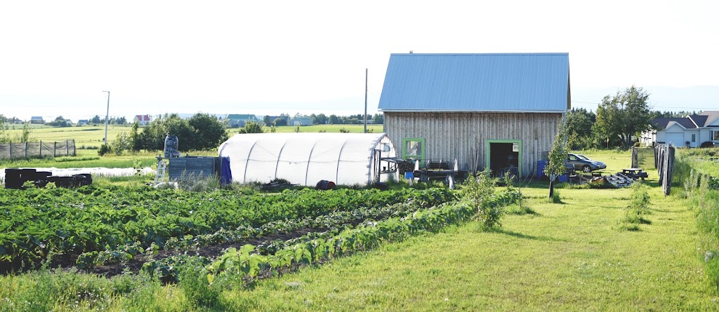 Jardin À tout vent | 292 Rang 2, Saint-Germain, QC G0L 3G0, Canada | Phone: (418) 551-7198