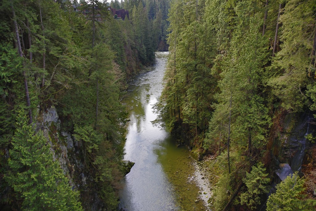 Treetops Adventure | West Vancouver, BC V7S 1J5, Canada