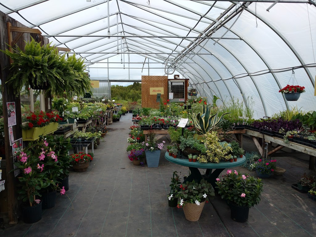 The Garden Path | 7233 Brown Rd, Orono, ON L0B 1M0, Canada | Phone: (905) 983-9579