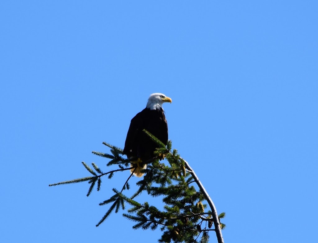 Otter Point Beach House | 7947 W Coast Rd, Sooke, BC V9Z 0R5, Canada | Phone: (250) 642-4490