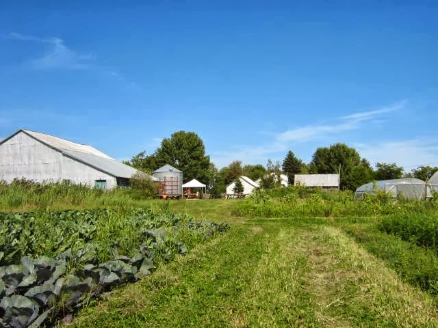 Ferme Coopérative Tourne-Sol / Tourne-Sol Co-operative Farm | 1035 Chem. Saint-Dominique, Les Cèdres, QC J7T 1P5, Canada | Phone: (450) 452-4271