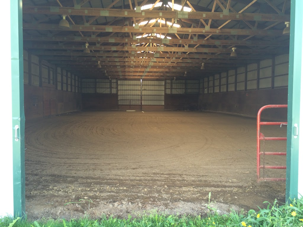 Great Oaks Equestrian Center LLC | 9633 Lindsey Rd, Casco, MI 48064, USA | Phone: (586) 242-2777