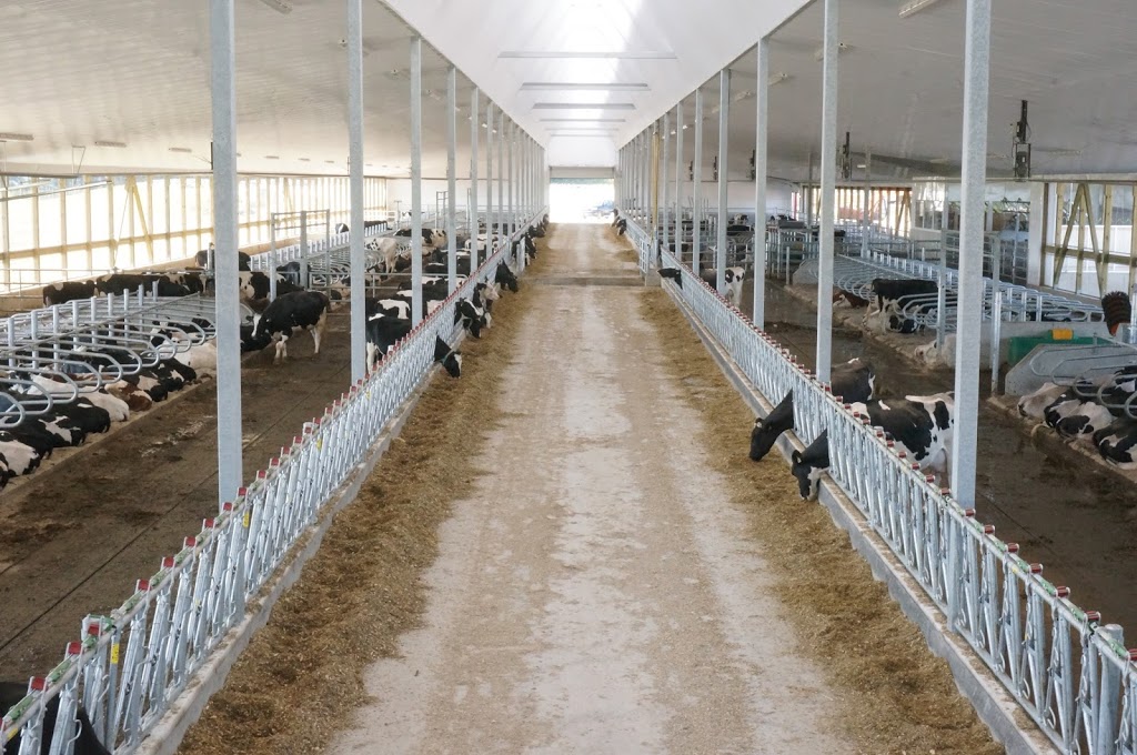 Dairy Lane Systems | 6403 Egremont Dr, Komoka, ON N0L 1R0, Canada | Phone: (519) 666-1404