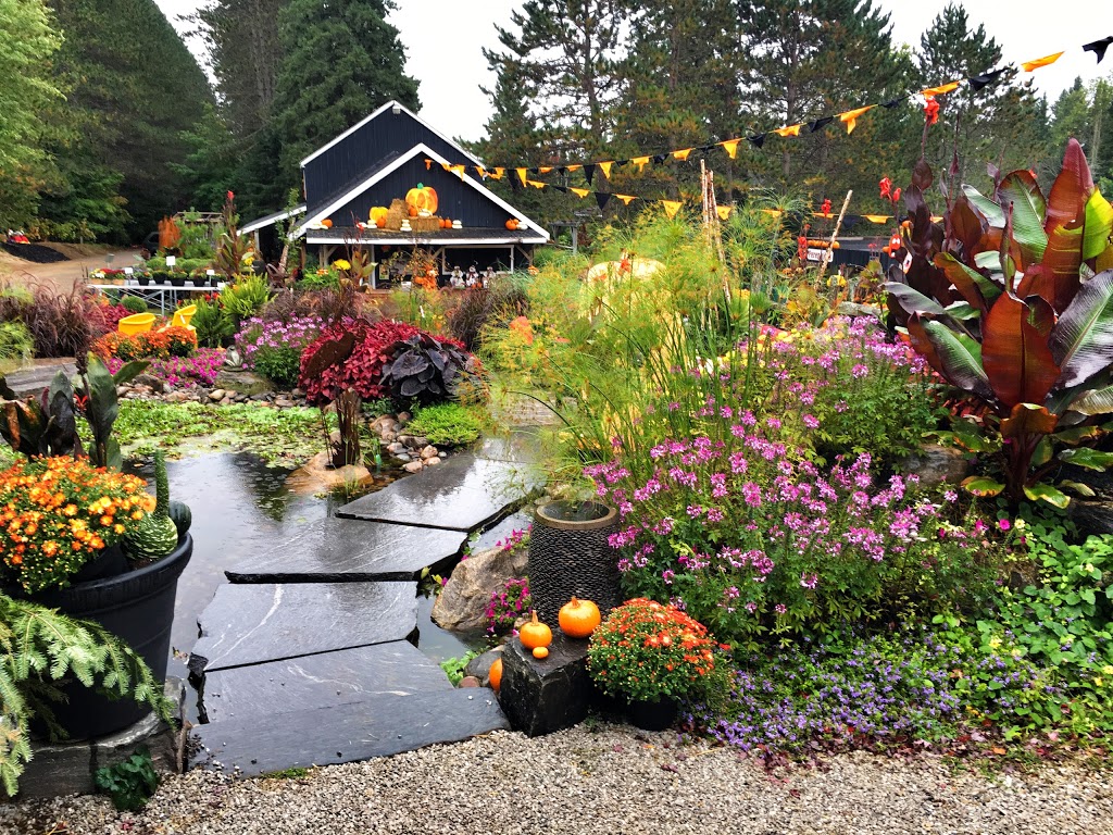 Sandhill Nursery | 1686 Aspdin Rd, Huntsville, ON P1H 2K8, Canada | Phone: (705) 789-5319