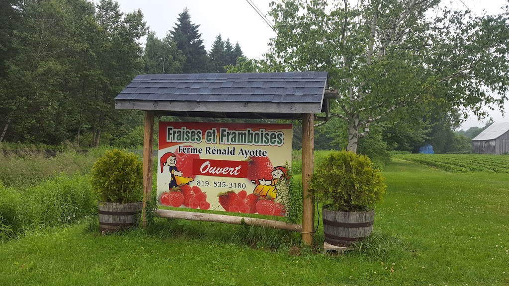 Ferme Rénald Ayotte | 2900 Chemin du Lac, Saint-Boniface, QC G0X 2L0, Canada | Phone: (819) 535-3180