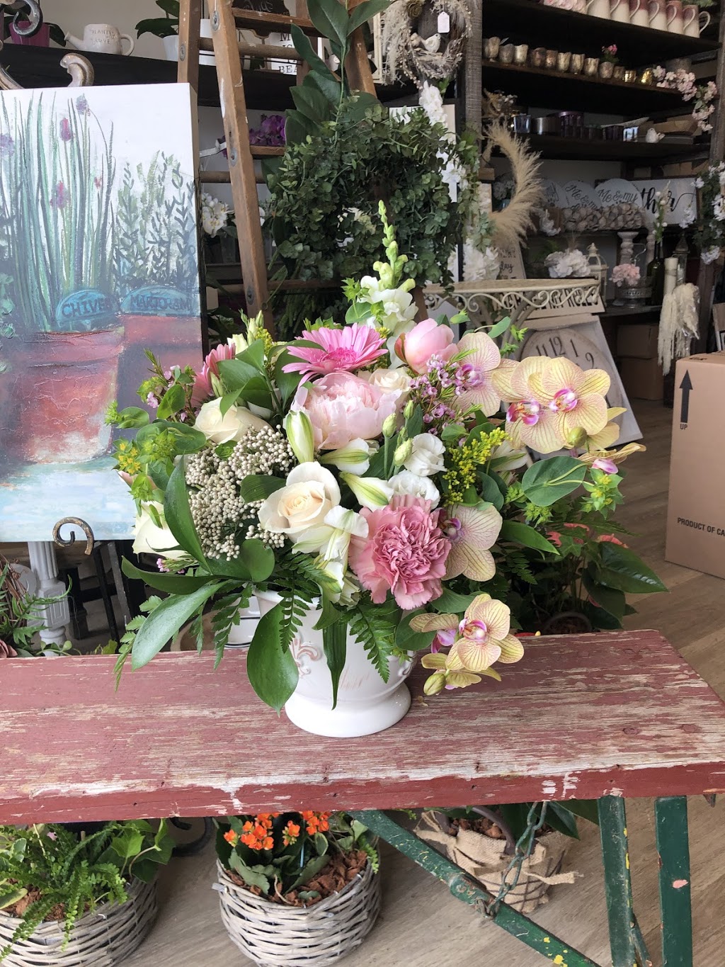 Bellas and Blooms | 440 Niagara St, Welland, ON L3C 1L5, Canada | Phone: (289) 820-6077