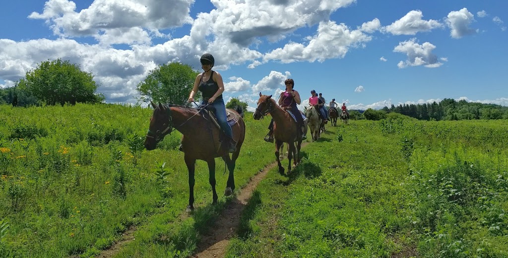Captiva Farms Horseback Riding | 189 Chemin de la Montagne, Wakefield, QC J0X 3G0, Canada | Phone: (819) 459-2769